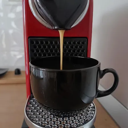 Avenue Of Mara Timişoara