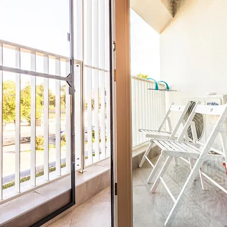 Avenue Of Mara * Timişoara