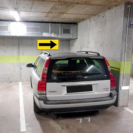 Avenue Of Mara * Timişoara