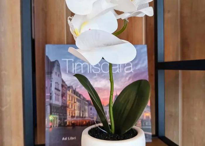 Avenue Of Mara Lägenhet *