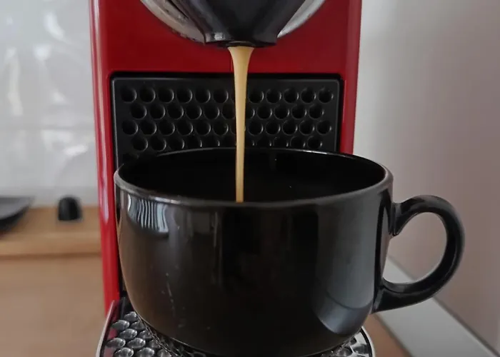 Avenue Of Mara Тимишоара