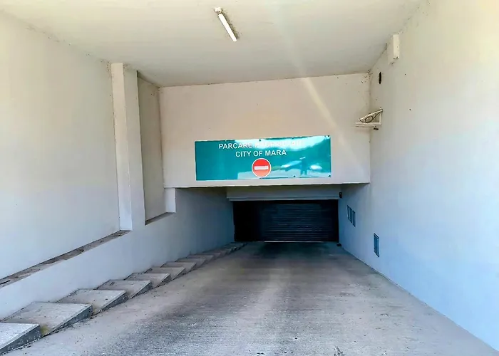 Avenue Of Mara Тимишоара