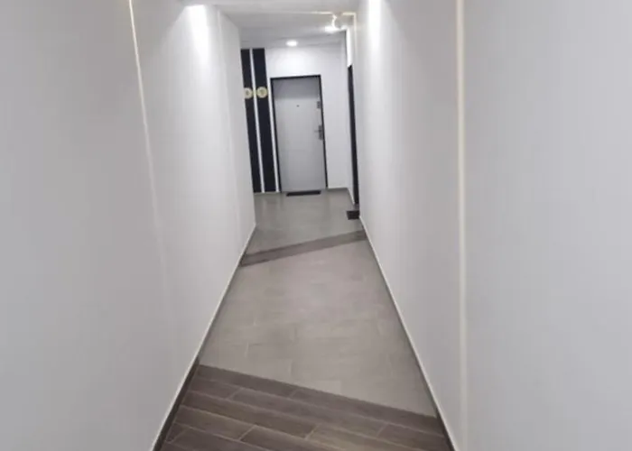 Avenue Of Mara * Тимишоара